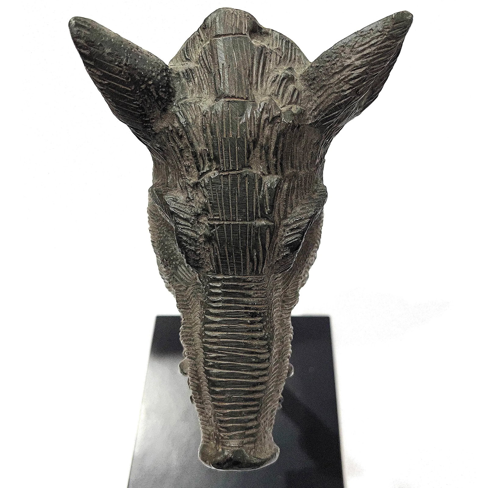 Wild Boar Sculpture in High Relief Cast Metal - 3
