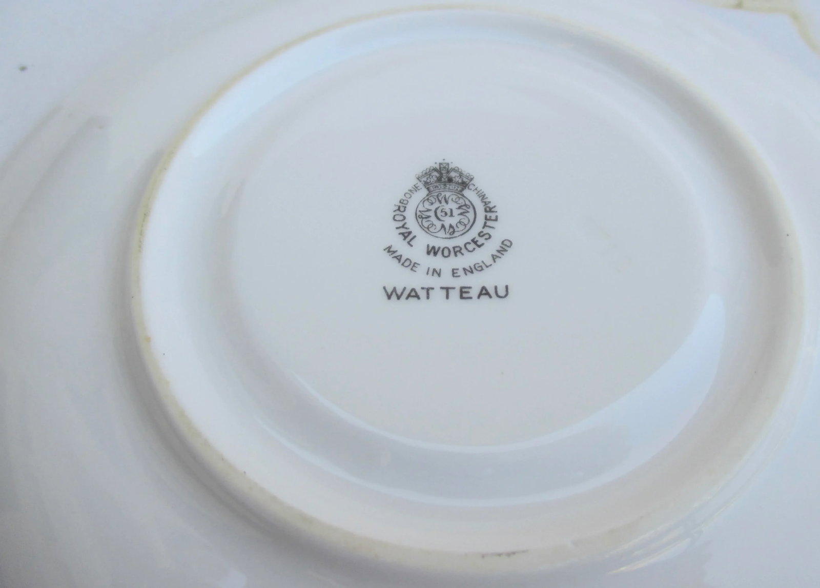 Royal Worcester England Watteau Pattern Coffee Tea Service -A Group of 24 - 5