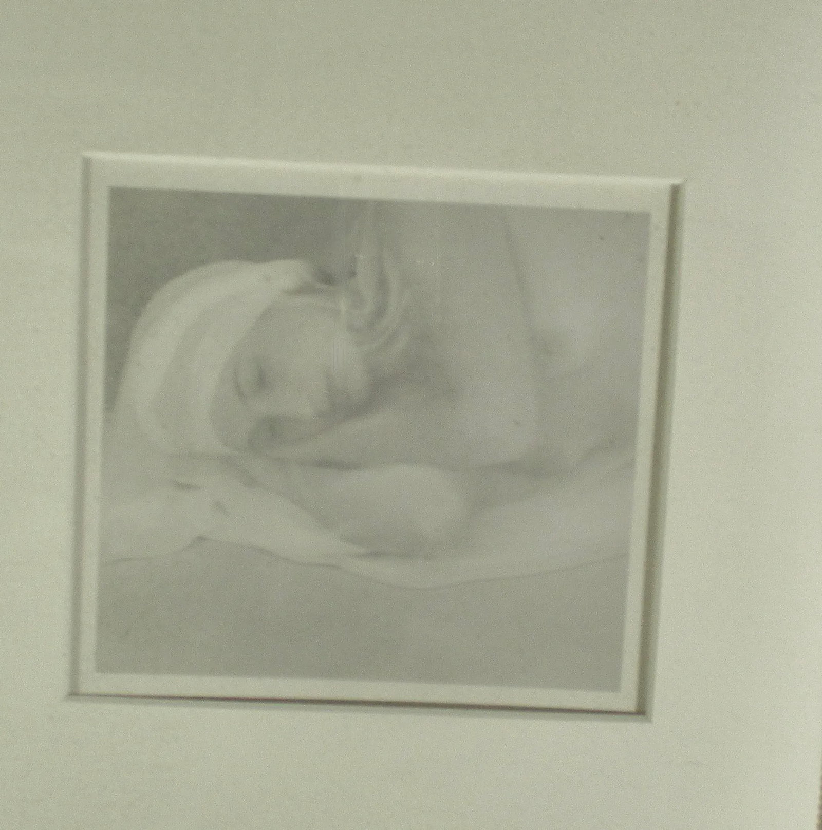 Black and White Studio Photo of Nude by E Simson Circa 70s - 2