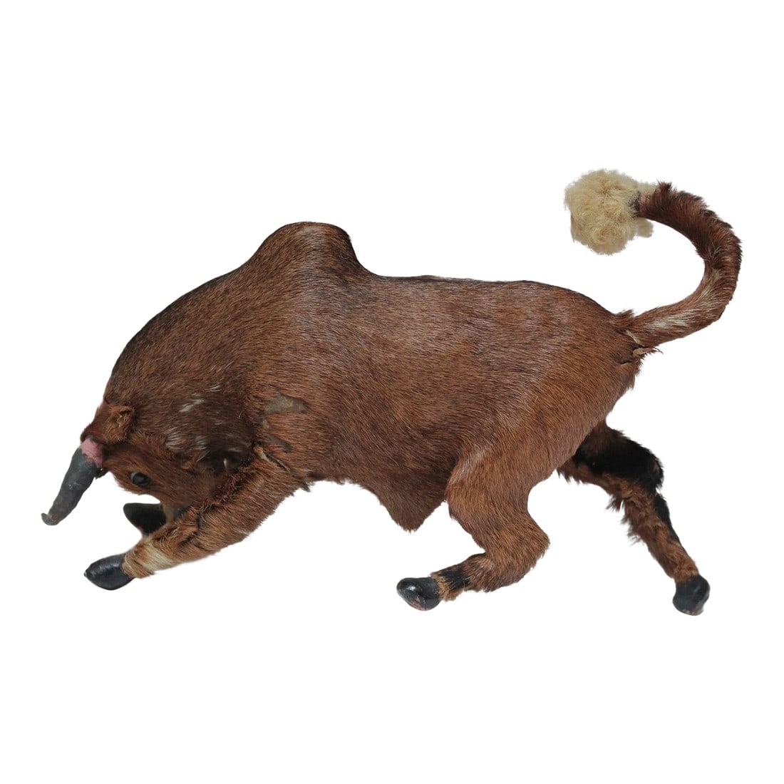 Early 20th Century Miniature Taxidermy Brahma Bull (1 of 12)