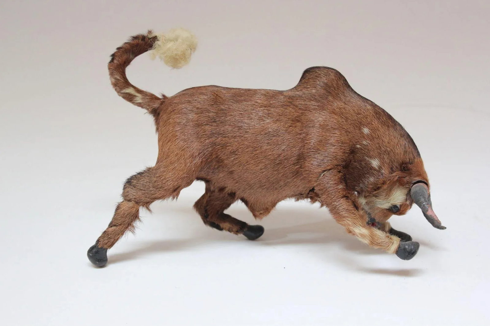 Early 20th Century Miniature Taxidermy Brahma Bull - 3