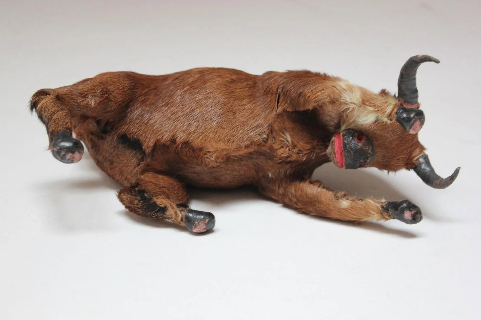 Early 20th Century Miniature Taxidermy Brahma Bull - 5