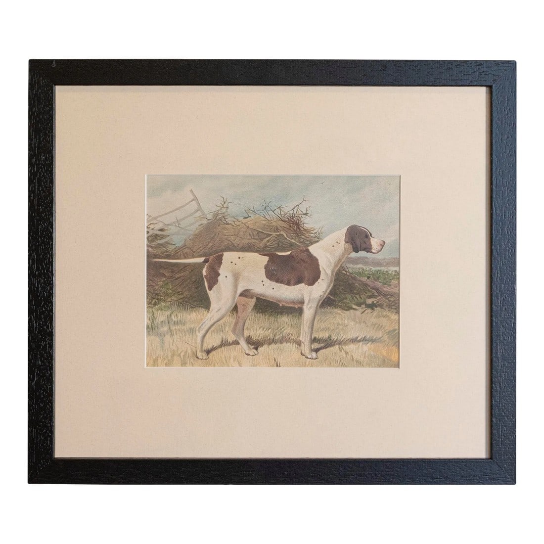Mid 20th Century Cassell, Petter, Galpin & Co Chromolithograph Dog Print in Black Frame (1 of 4)