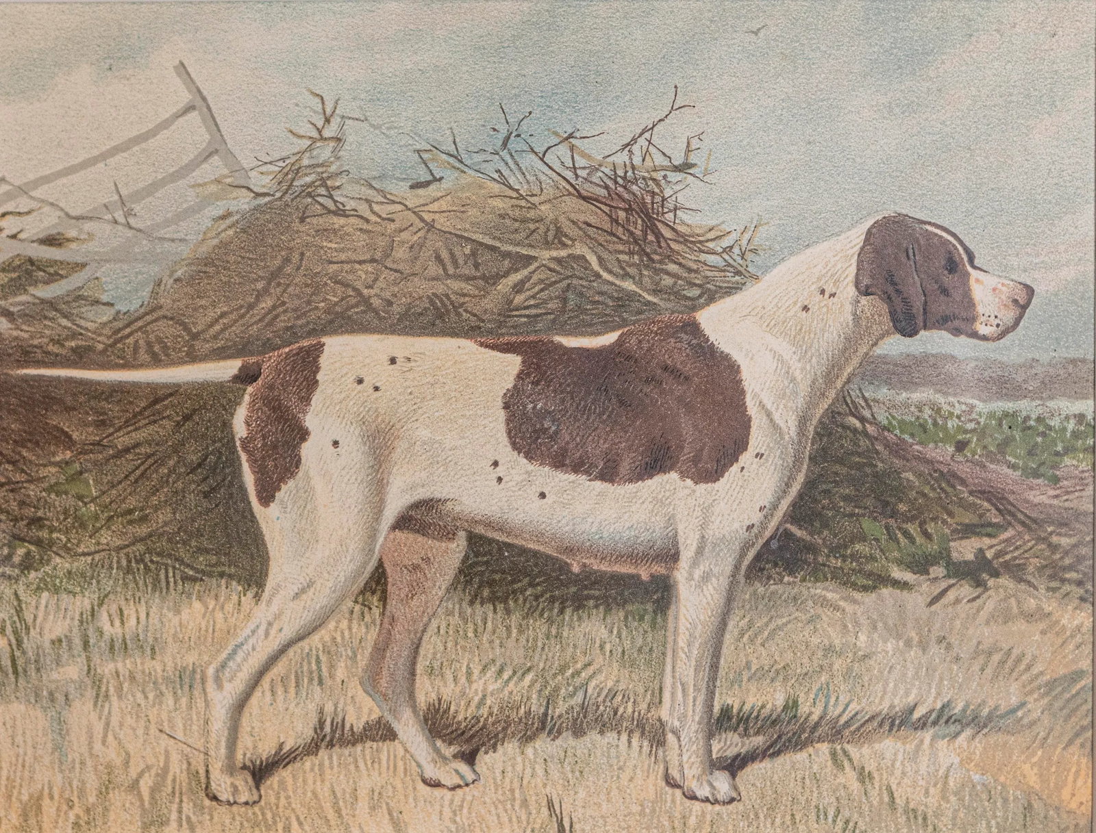 Mid 20th Century Cassell, Petter, Galpin & Co Chromolithograph Dog Print in Black Frame - 2