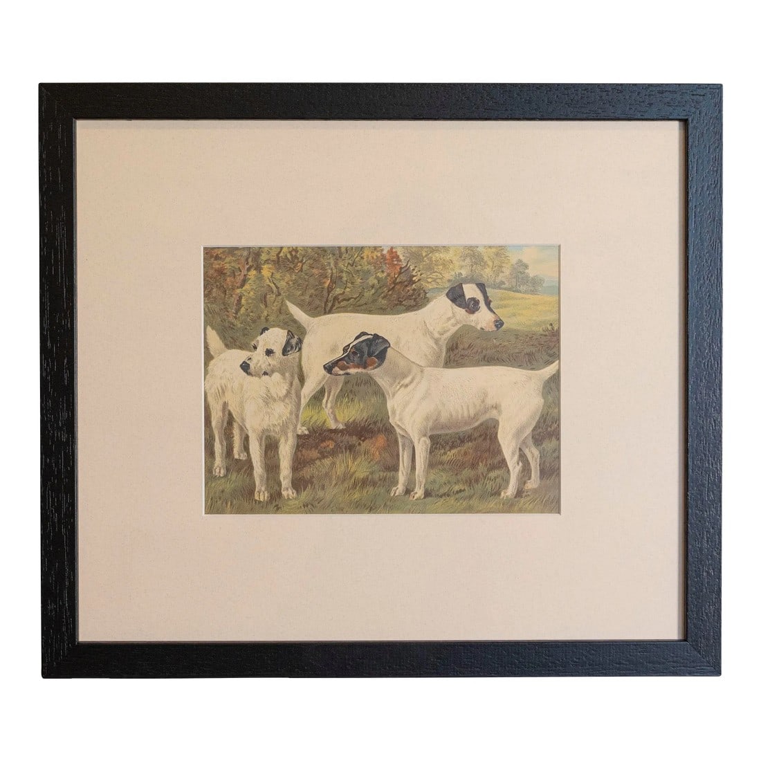 Single Print - Cassell, Petter, Galpin & Co Chromolithograph Dog Print in Black Frame: 18 framed Cassell, Petter, Galpin & Co chromolithograph dog prints from the 20th century, priced and sold $495 each. Created in England, the plates were made for The Illustrated Book of the Dog by Ver