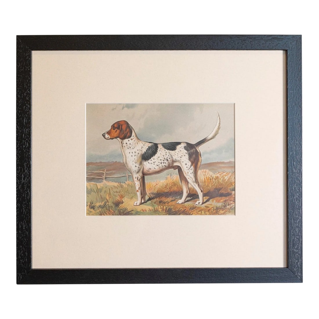 Single Print - Cassell, Petter, Galpin & Co Chromolithograph Dog Print in Black Frame: Single Print - This is for the exact brown, white, and black Hunting Style dog print in the main photo. (18 available see other photos and listings) - Cassell, Petter, Galpin & Co. chromolithograph