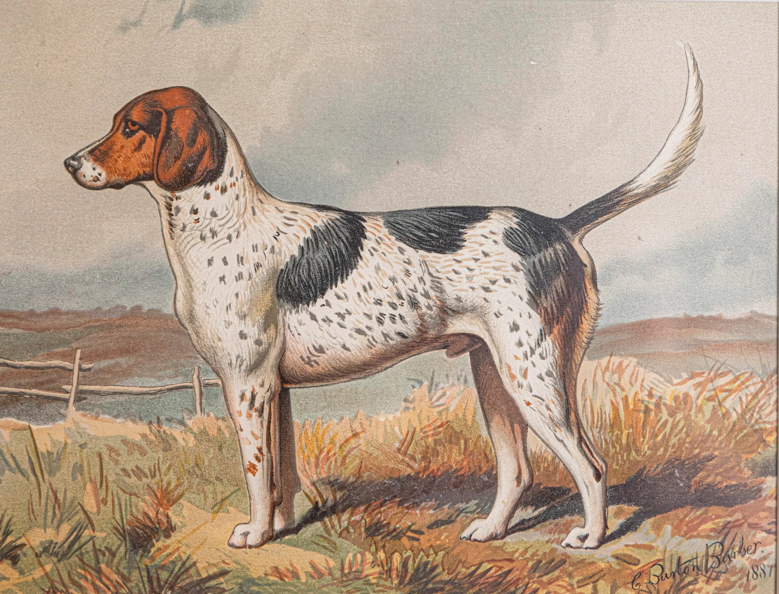 Single Print - Cassell, Petter, Galpin & Co Chromolithograph Dog Print in Black Frame - 2