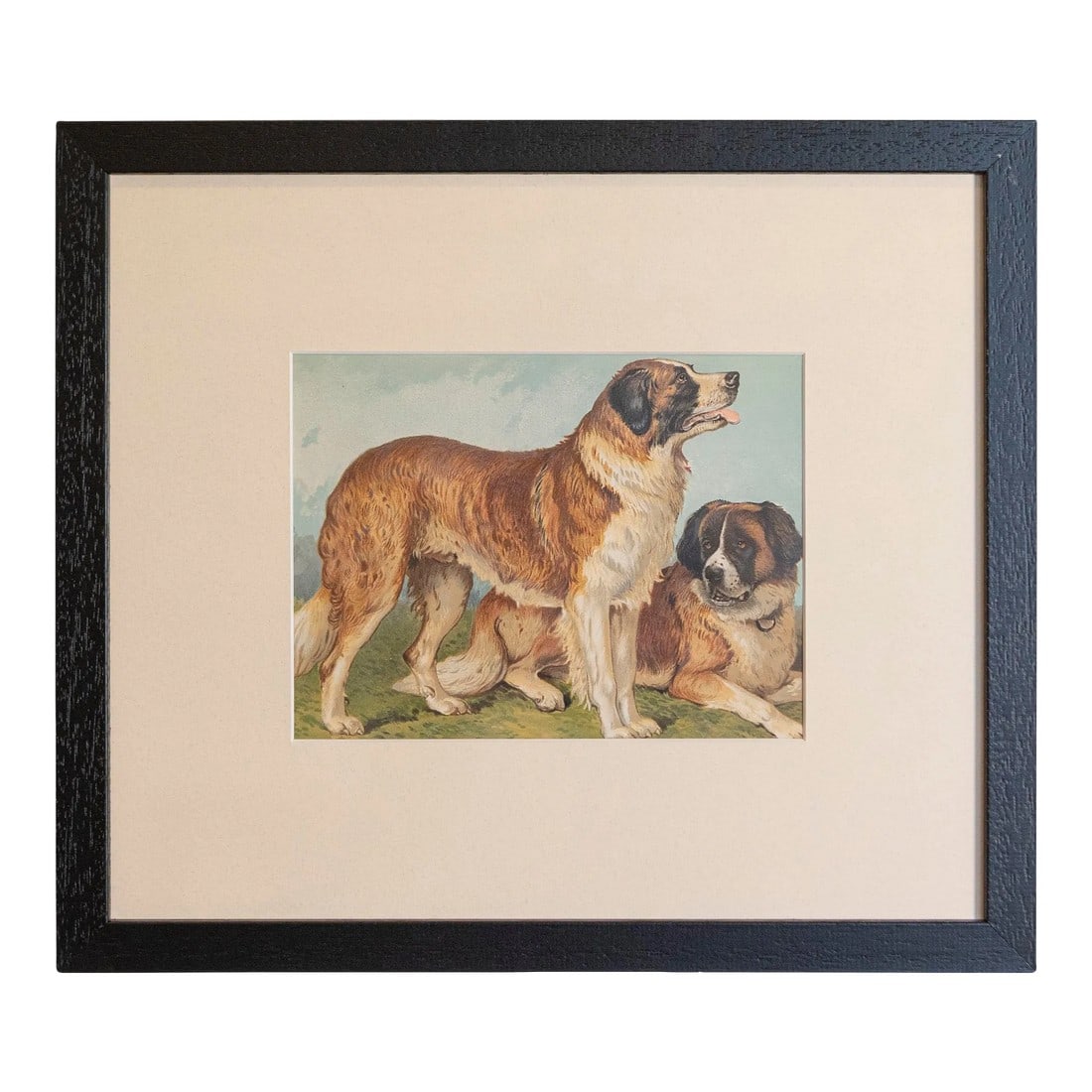 Single Print - Cassell, Petter, Galpin & Co Chromolithograph Dog Print in Black Frame: Single Print - This is for the exact St. Bernard style dog print in the main photo. (18 available see other photos and listings) - Cassell, Petter, Galpin & Co. chromolithograph dog prints from the