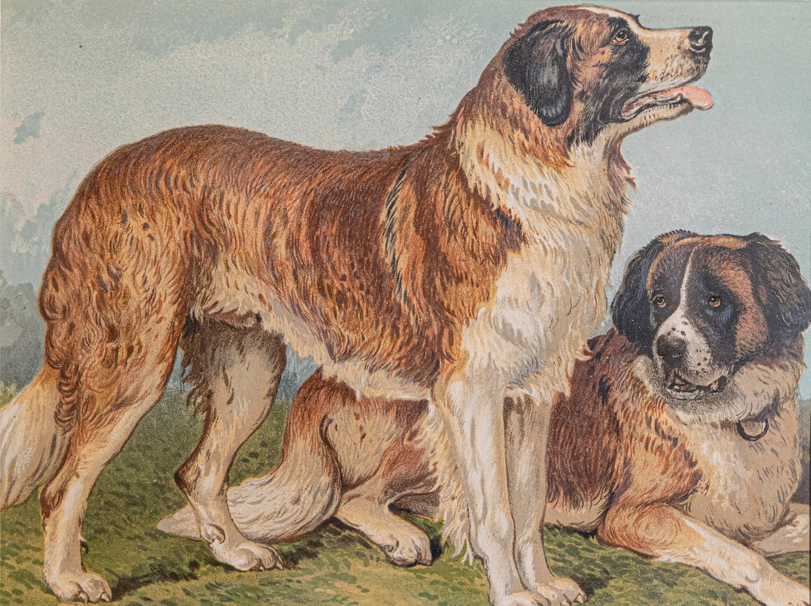 Single Print - Cassell, Petter, Galpin & Co Chromolithograph Dog Print in Black Frame - 2