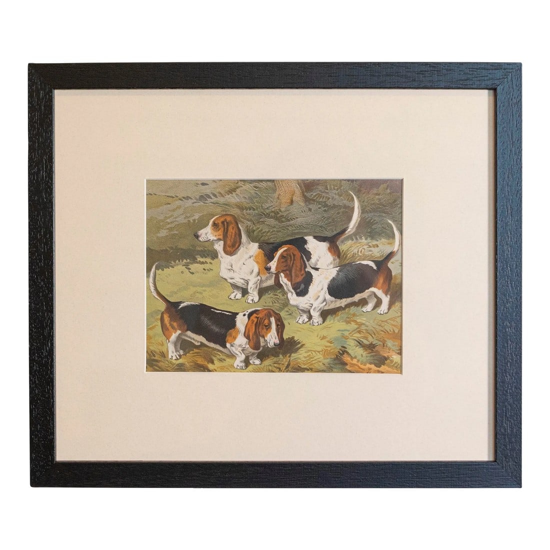 Single Print - Cassell, Petter, Galpin & Co Chromolithograph Dog Print in Black Frame (1 of 12)
