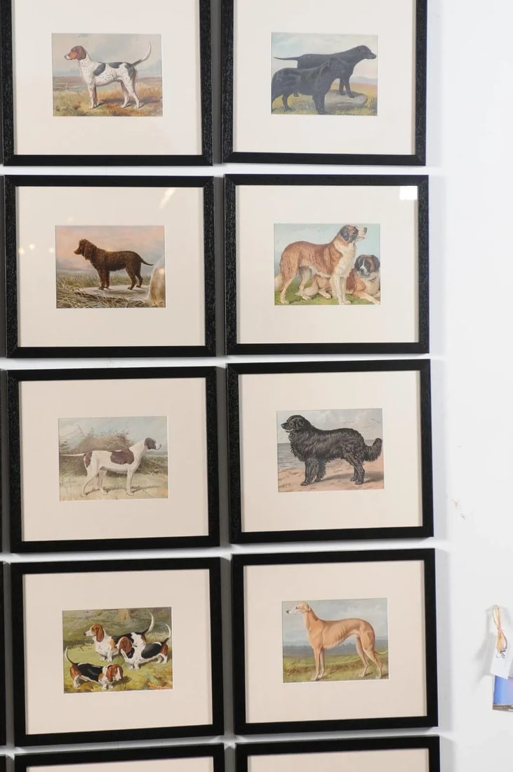 Single Print - Cassell, Petter, Galpin & Co Chromolithograph Dog Print in Black Frame - 7