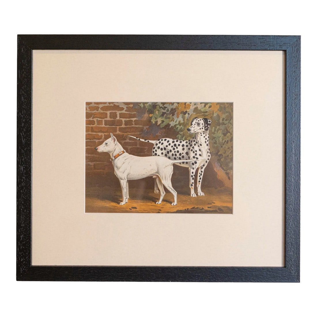 Single Print - Cassell, Petter, Galpin & Co Chromolithograph Dog Print in Black Frame: 18 framed Cassell, Petter, Galpin & Co chromolithograph dog prints from the 20th century, priced and sold $495 each. Created in England, the plates were made for The Illustrated Book of the Dog by
