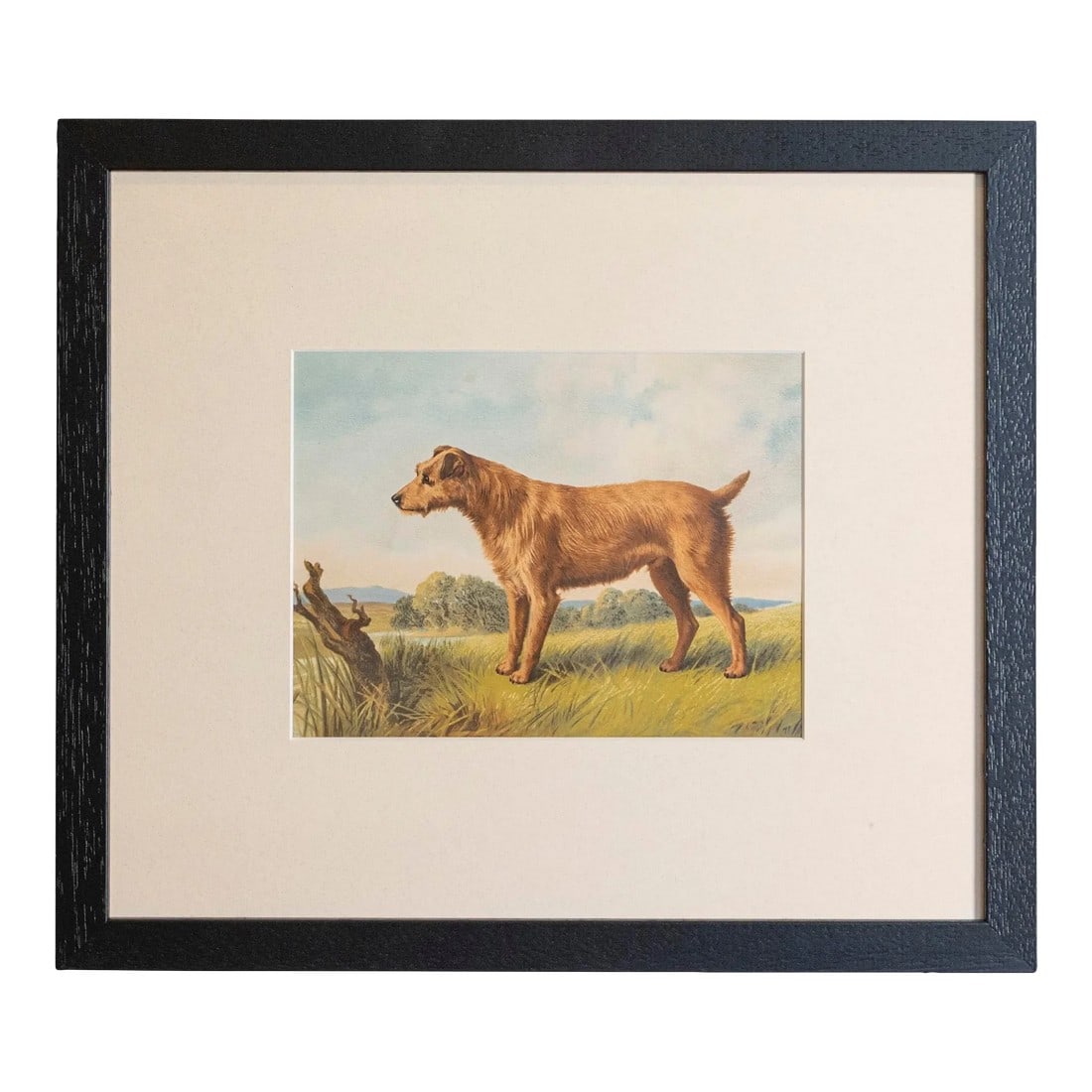 Cassell, Petter, Galpin & Co Chromolithograph Dog Prints in Black Frames: Single Print - This is for the exact light brown Hunting Dog print in the main photo. (18 available see other photos and listings) - Cassell, Petter, Galpin & Co. chromolithograph dog prints from the