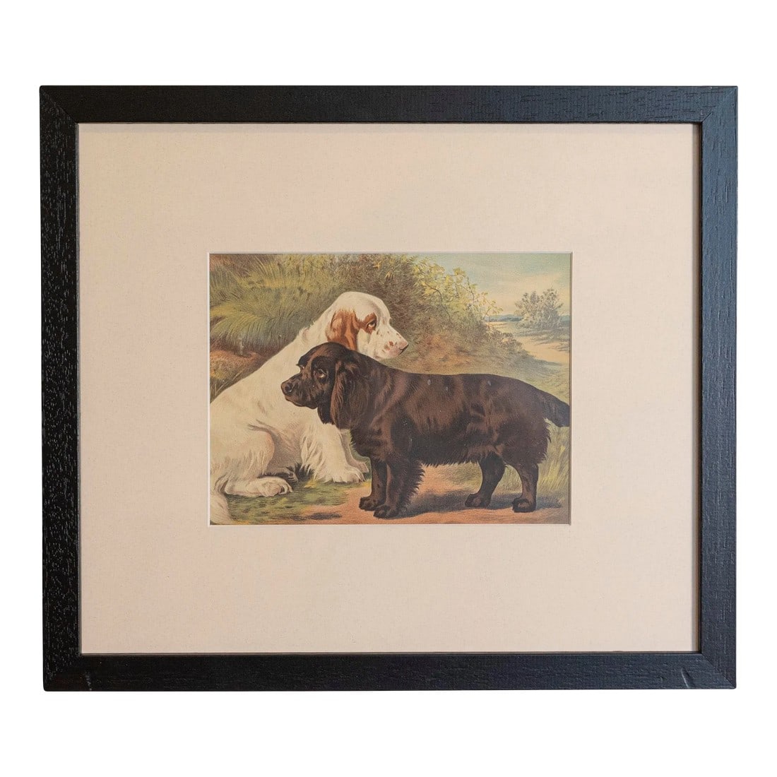 Single Print - Cassell, Petter, Galpin & Co Chromolithograph Dog Print in Black Frame: Single Print - This is for the exact dog print in the main photo featuring 2 dogs one brown & one white. (18 available see other photos and listings) - Cassell, Petter, Galpin & Co. chromolithograph