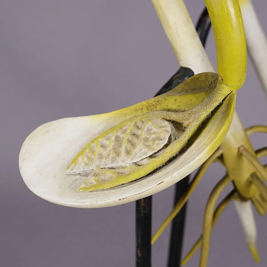 19th Century Botanic Model by Robert Brendel - Bean Seedling - 5