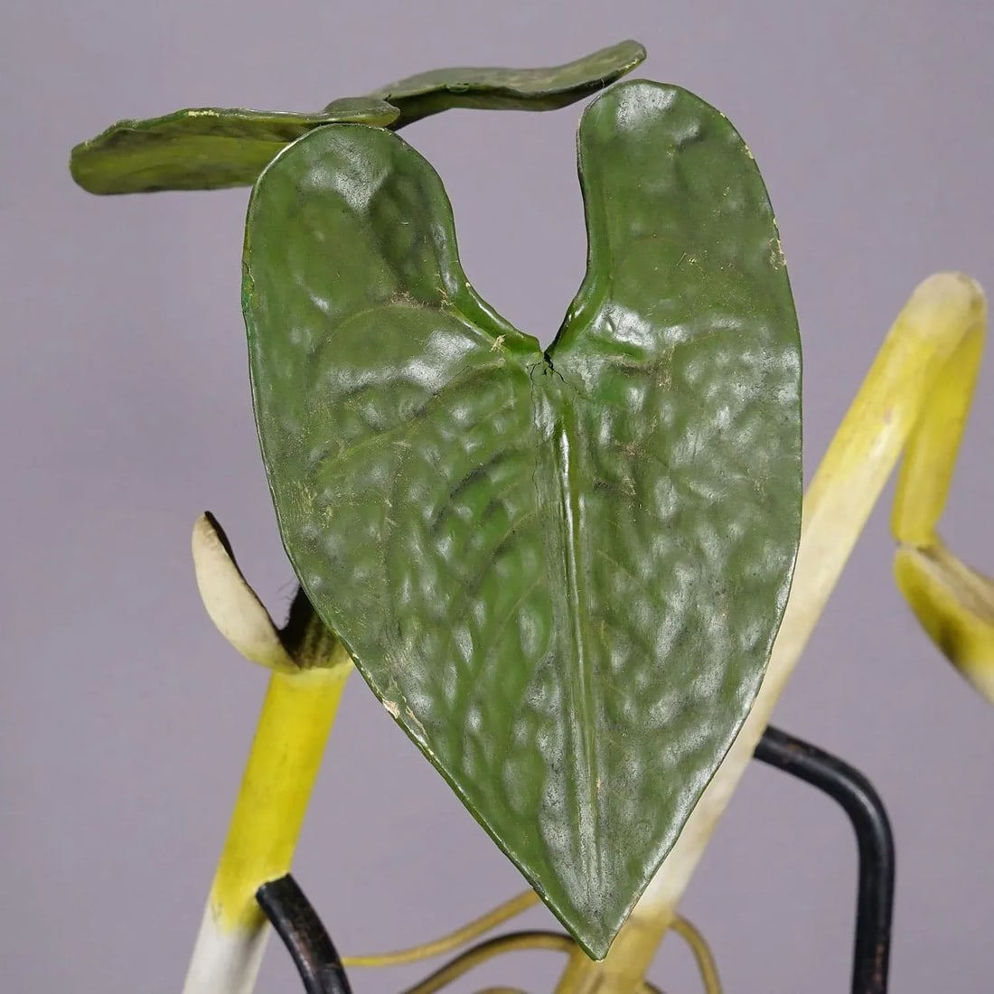 19th Century Botanic Model by Robert Brendel - Bean Seedling - 7