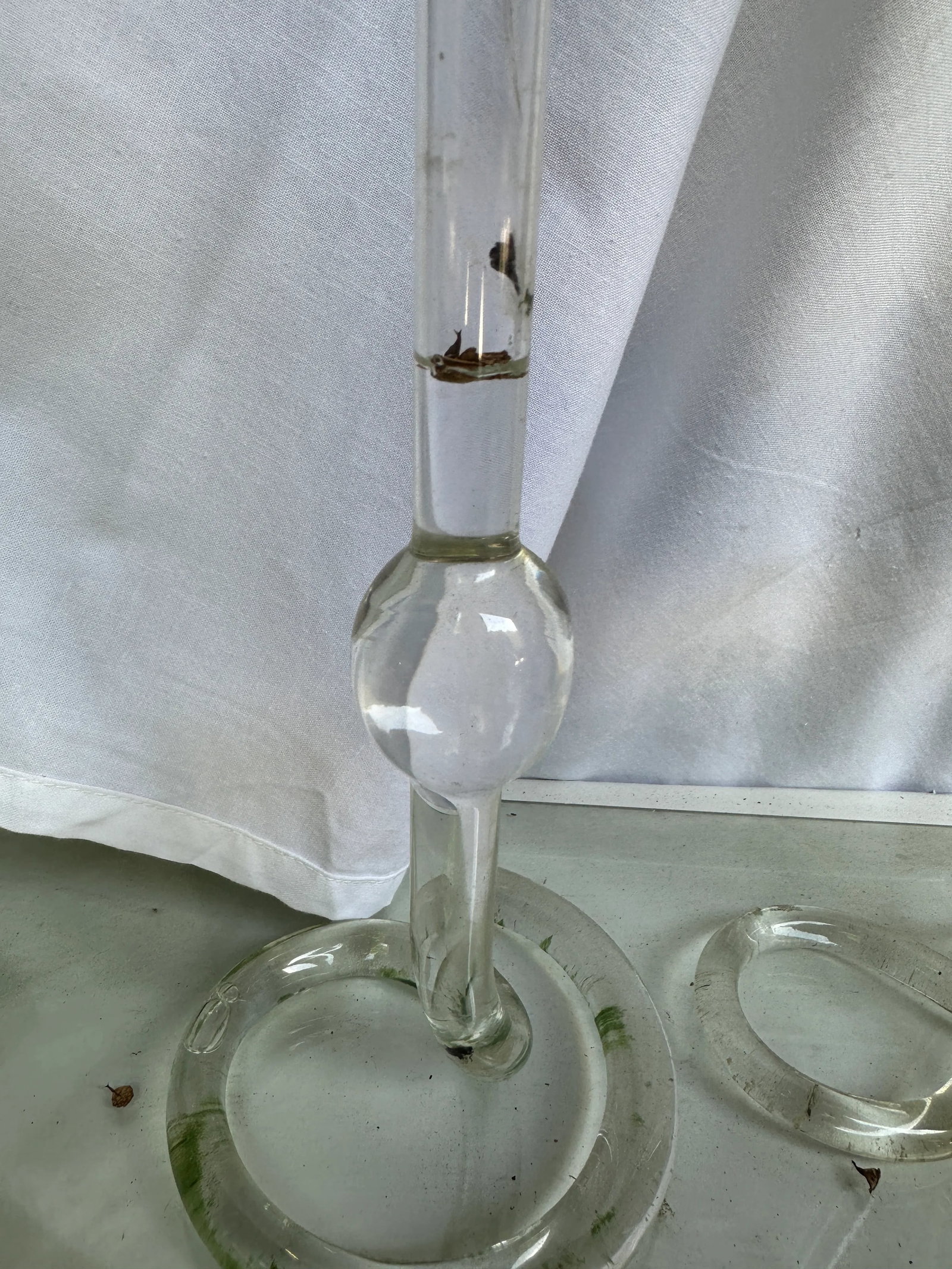 Vintage Propagation Snake Vases – a Pair - 3