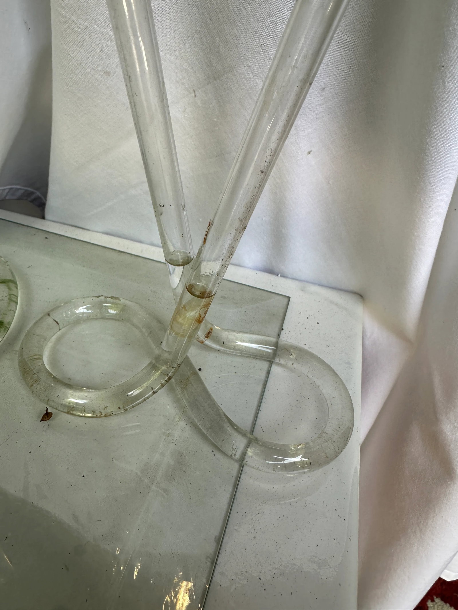 Vintage Propagation Snake Vases – a Pair - 6