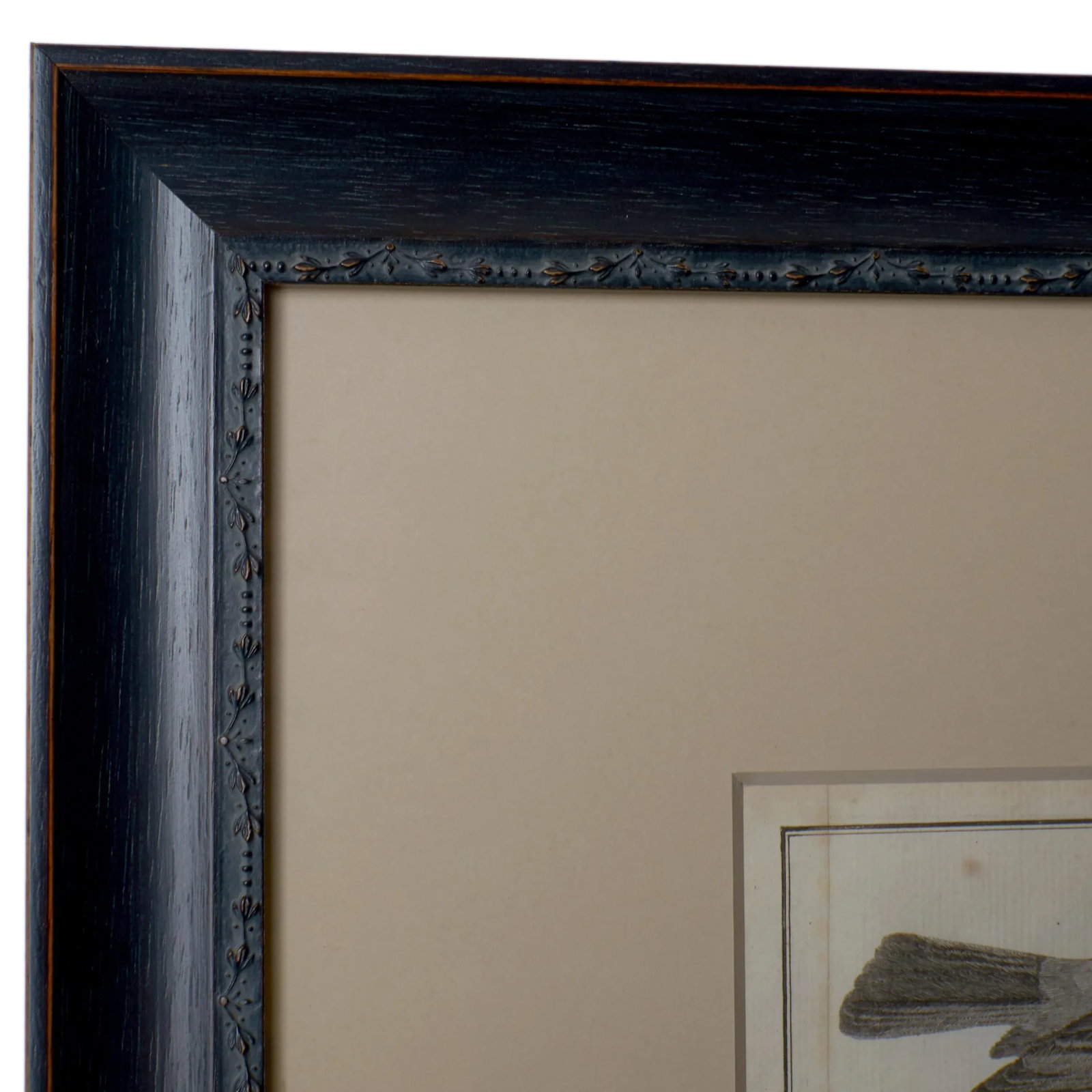 French Martinet Bird Folio Engravings - a Pair - 8