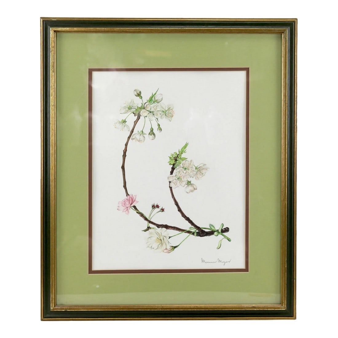 Vintage Hand-Painted Plant Specimen Watercolor Cherry Blossom Specimen (With Frame). Signed in the L: Hand-painted watercolor cherry blossom specimen (with frame) This art serves botany, using pen drawings or watercolors to record plants as accurately as possible. These artistic traditions can be