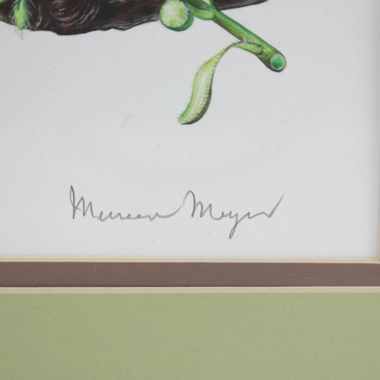 Vintage Hand-Painted Plant Specimen Watercolor Cherry Blossom Specimen (With Frame). Signed in the L - 3