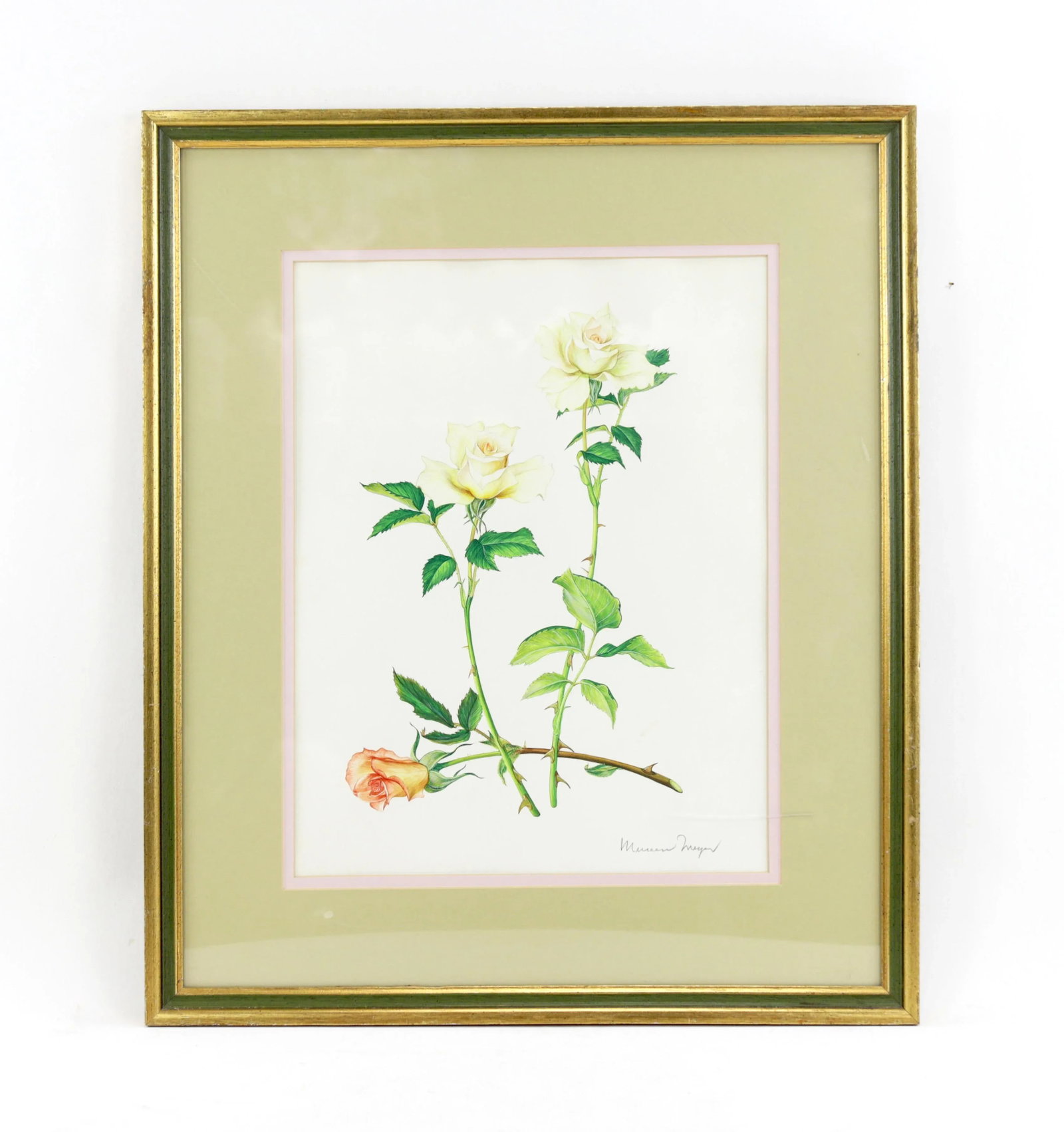 Vintage Hand-Painted Plant Specimen Watercolor "Gold Medal" Yellow Rose (With Frame). Signed in the - 9