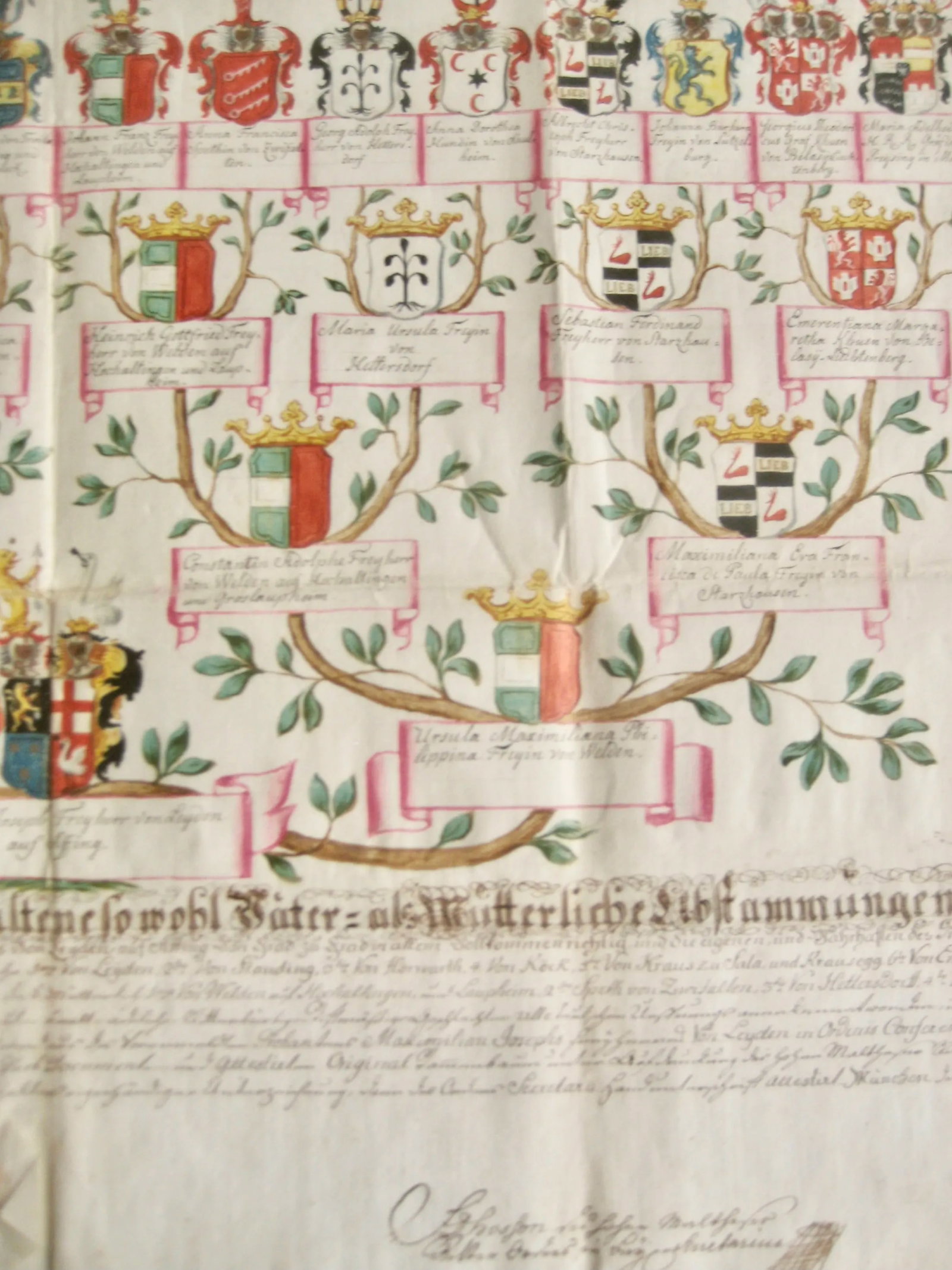 Late 18th Century German Genealogist Tree Coat of Arms of a Marquis Family Frame - 4