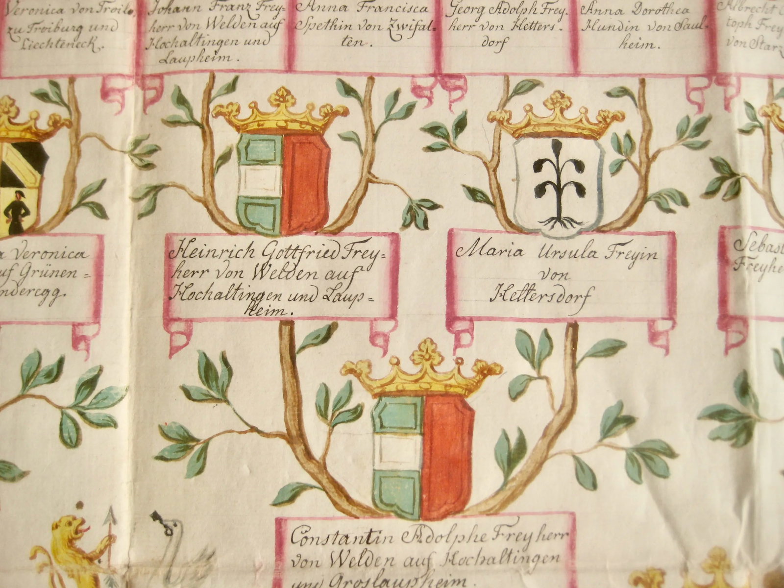 Late 18th Century German Genealogist Tree Coat of Arms of a Marquis Family Frame - 8