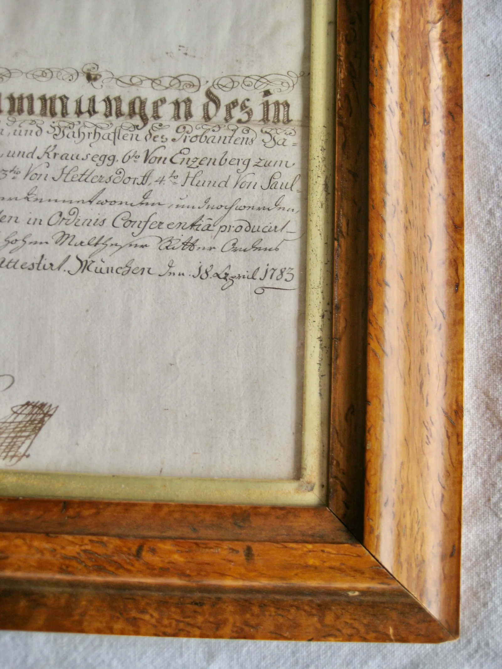 Late 18th Century German Genealogist Tree Coat of Arms of a Marquis Family Frame - 9