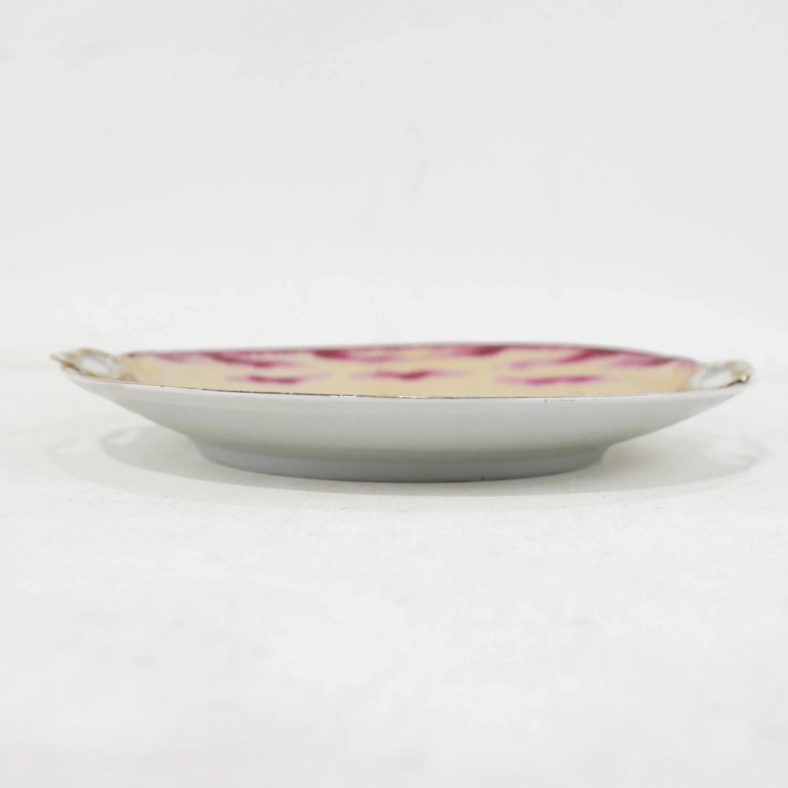 Pair of Vintage Hand-Painted Porcelain Decorative Plates With Bird and Floral Motifs - 3
