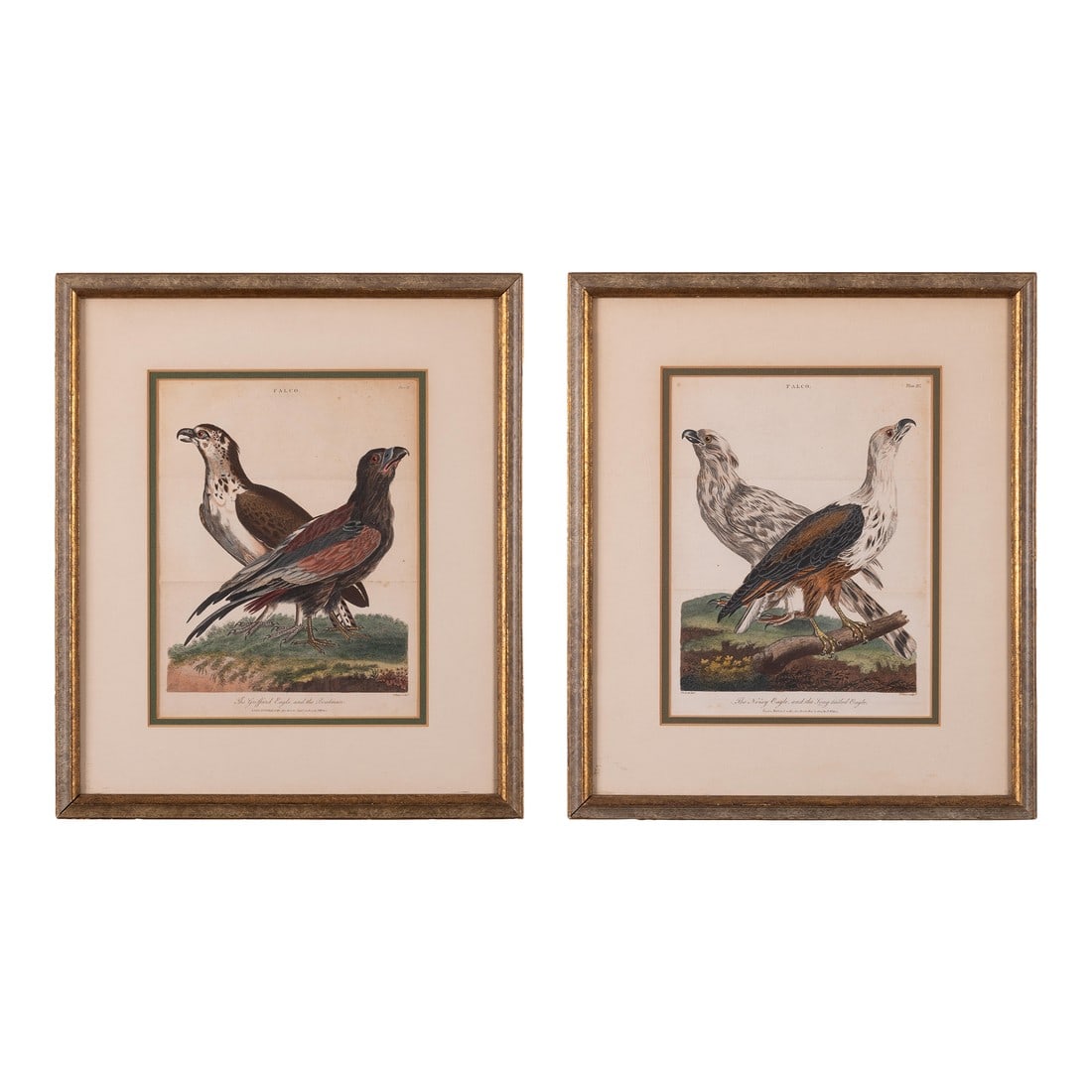 John Pass After Reinhold Eagle Engravings, c.1805 - Set of 2 (1 of 6)