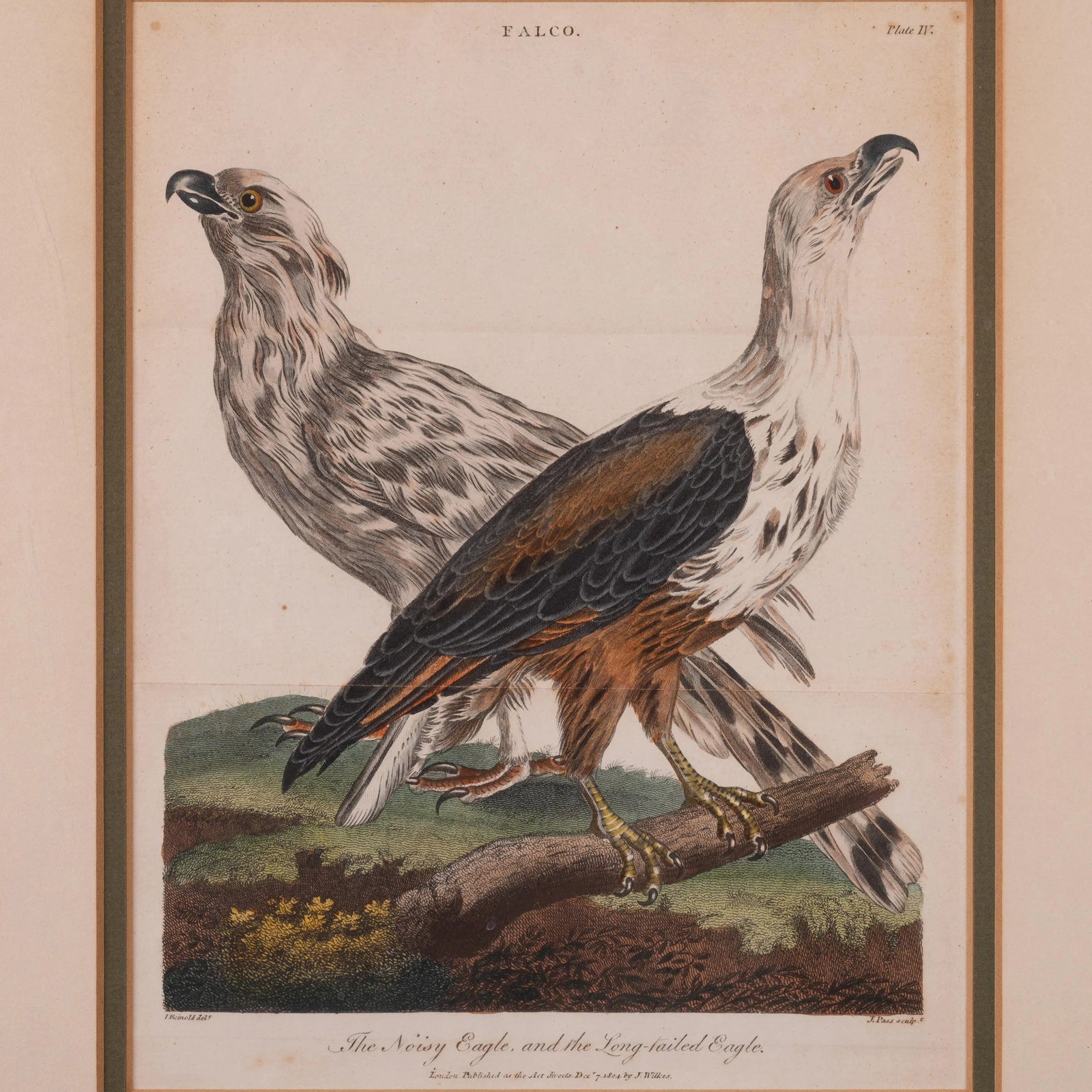 John Pass After Reinhold Eagle Engravings, c.1805 - Set of 2 - 3