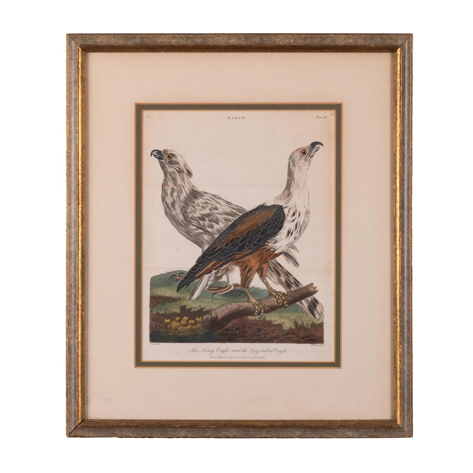 John Pass After Reinhold Eagle Engravings, c.1805 - Set of 2 - 5