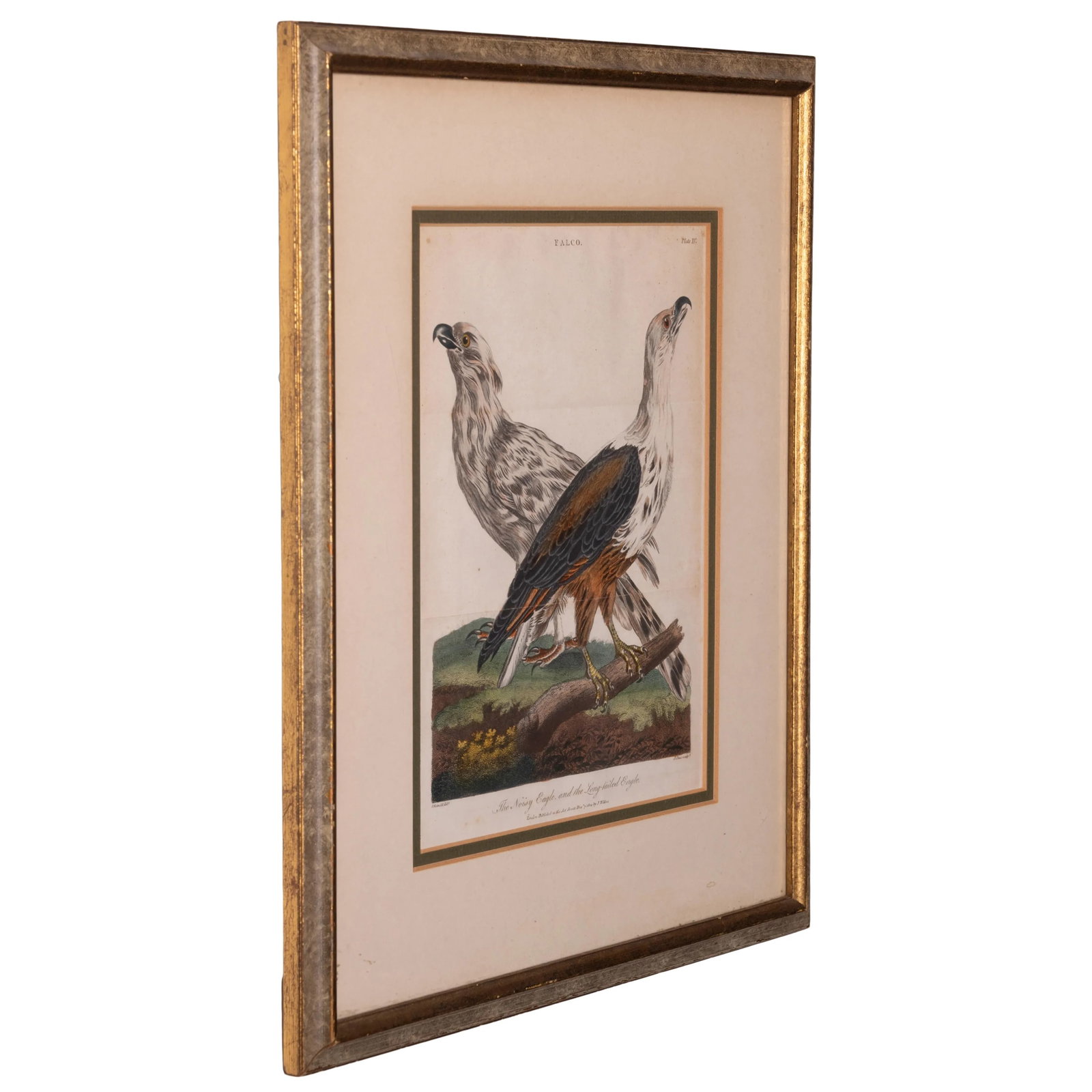 John Pass After Reinhold Eagle Engravings, c.1805 - Set of 2 - 6