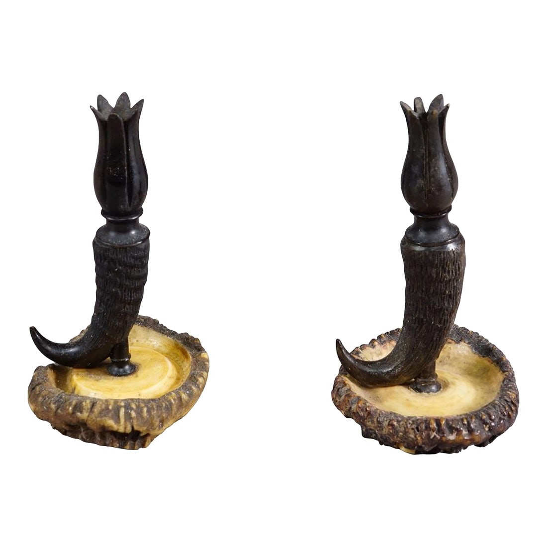 Vintage Pair of Candle Sticks With Real Chamois Horn, Circa 1950s: Vintage Pair of Candle Sticks With Real Chamois Horn, circa 1950s A vintage pair of candle holders, made of genuine chamois horns. The spout supports turned wooden tulip-shaped candle socket and the