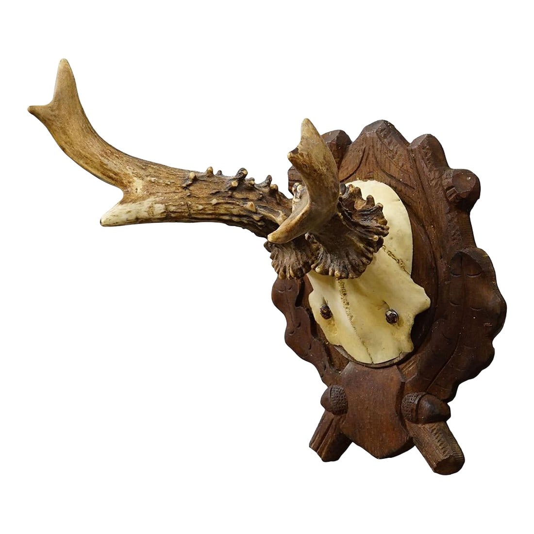 Antique Black Forest Red Deer Trophy on Carved Plaque, Germany 1938: Antique Black Forest Red Deer Trophy on Carved Plaque, Germany 1938 Antique red deer (Cervus elaphus) trophy from Germany, mounted on a carved wooden plaque. The trophy was shot in 1938. It bears a