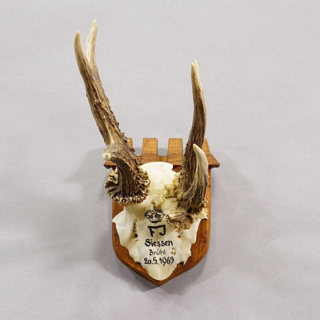 Vintage Red Deer Trophy by Franz Joseph, Prince of Thurn and Taxis, 1965 - 2