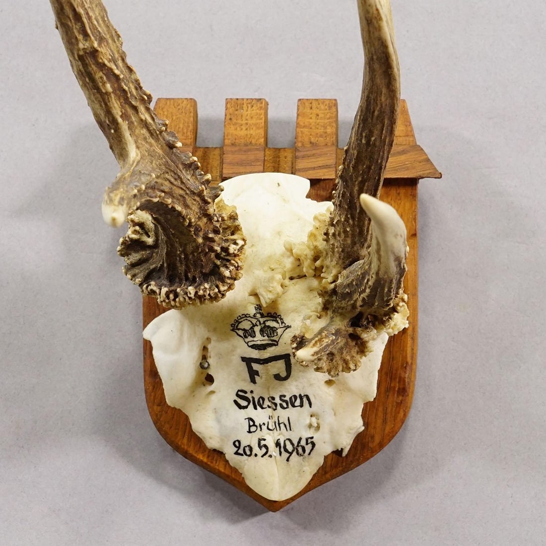 Vintage Red Deer Trophy by Franz Joseph, Prince of Thurn and Taxis, 1965 - 4