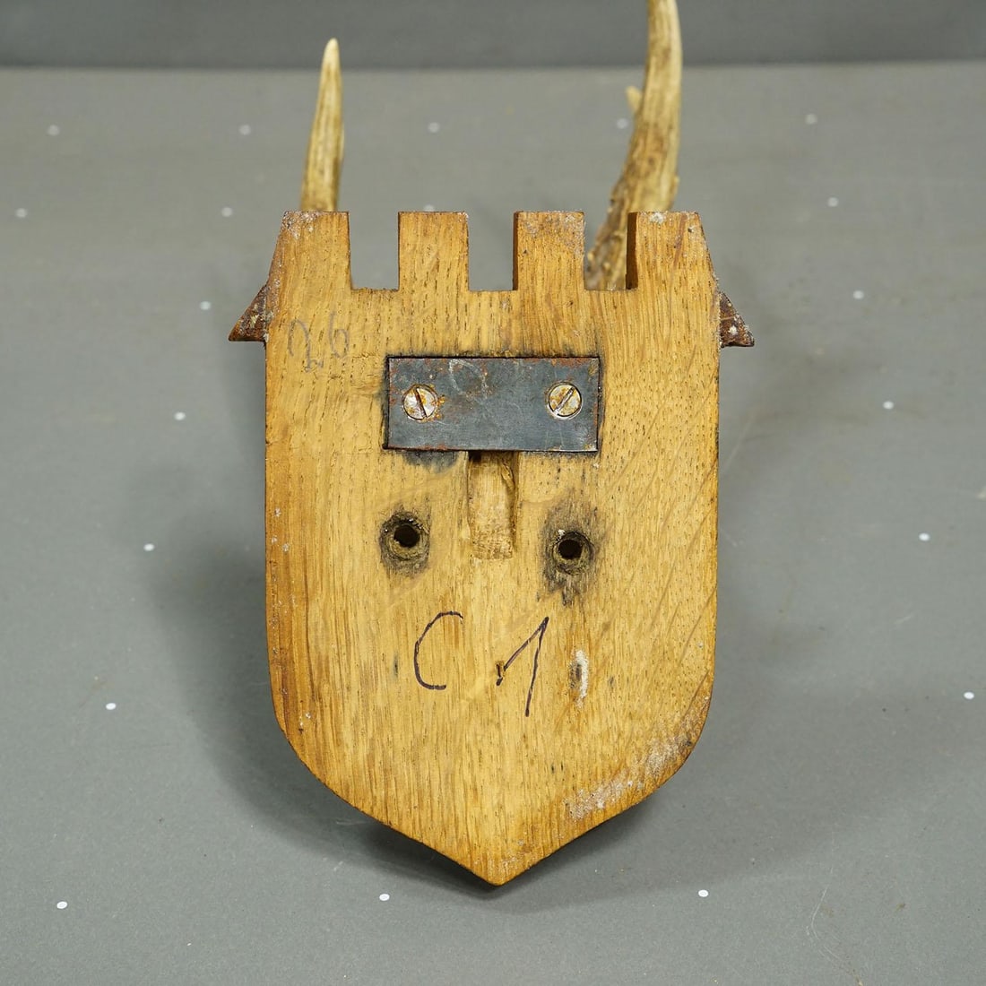 Vintage Red Deer Trophy by Franz Joseph, Prince of Thurn and Taxis, 1965 - 6