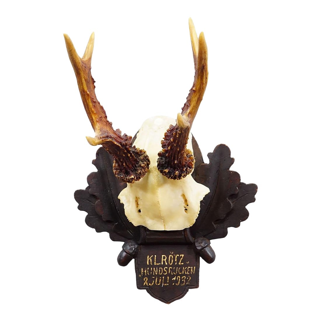 Antique Black Forest Red Deer Trophy on Carved Plaque - Germany 1932: Antique Black Forest Red Deer Trophy on Carved Plaque - Germany 1932 An antique red deer (Capreolus capreolus) trophy on a wooden carved plaque with dark brown finish. The trophy was shot in 1932.