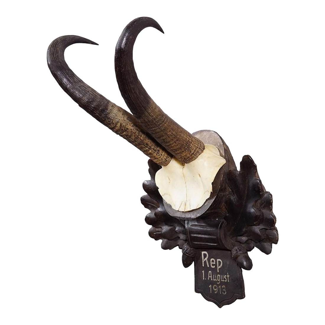Antique Chamois Trophy on Carved Plaque, Germany 1913: Antique Chamois Trophy on Carved Plaque, Germany 1913 An antique chamois (Rupicapra rupicapra) trophy mounted on a wooden carved plaque which features acorns, oak leaves and a handwritten