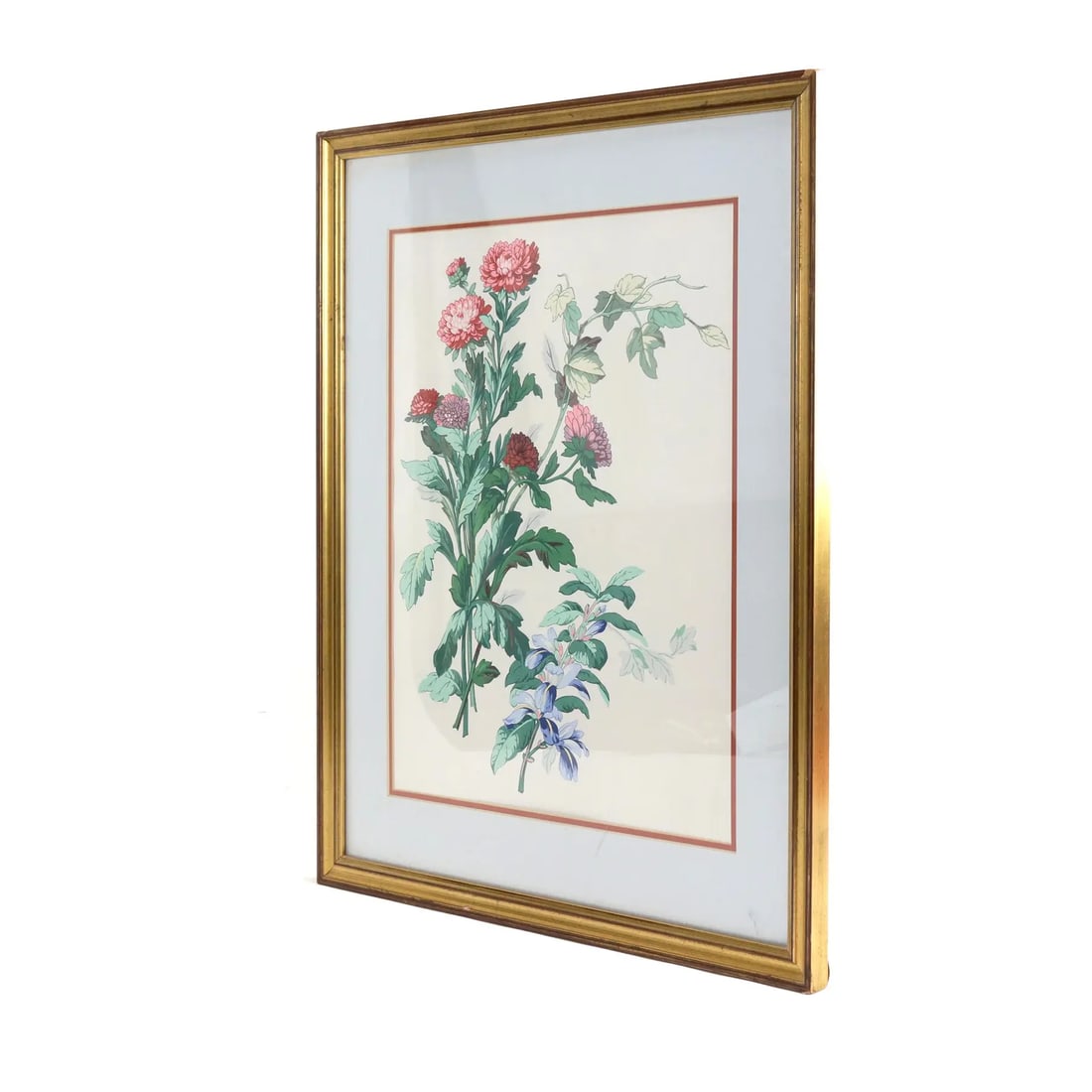 Hand-Painted Watercolor Flower Specimen Painting - 2