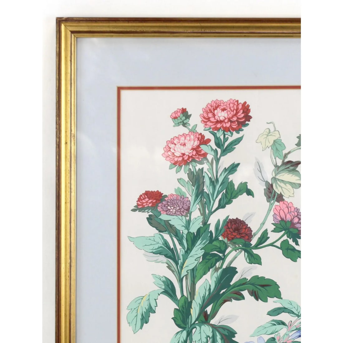 Hand-Painted Watercolor Flower Specimen Painting - 4