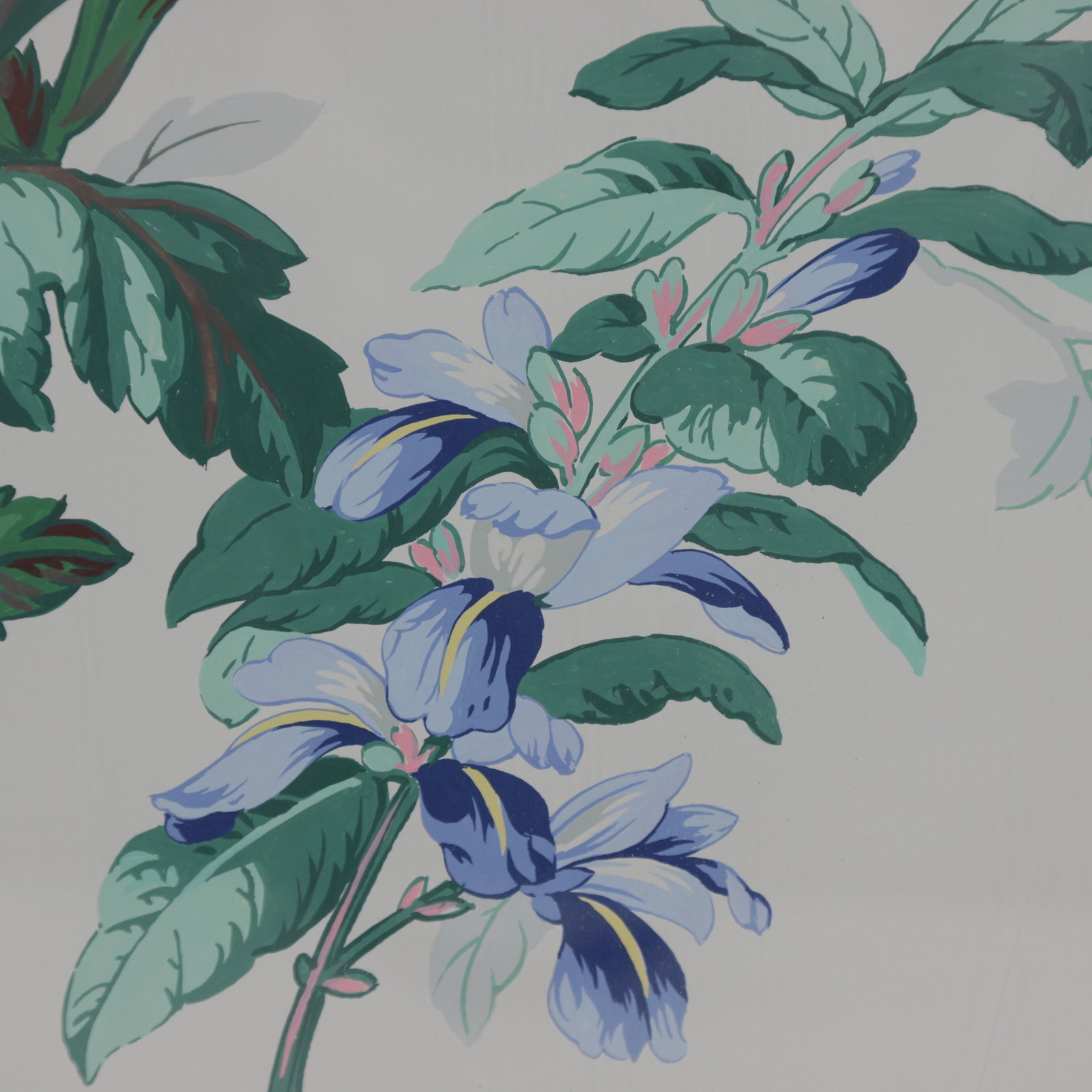 Hand-Painted Watercolor Flower Specimen Painting - 6