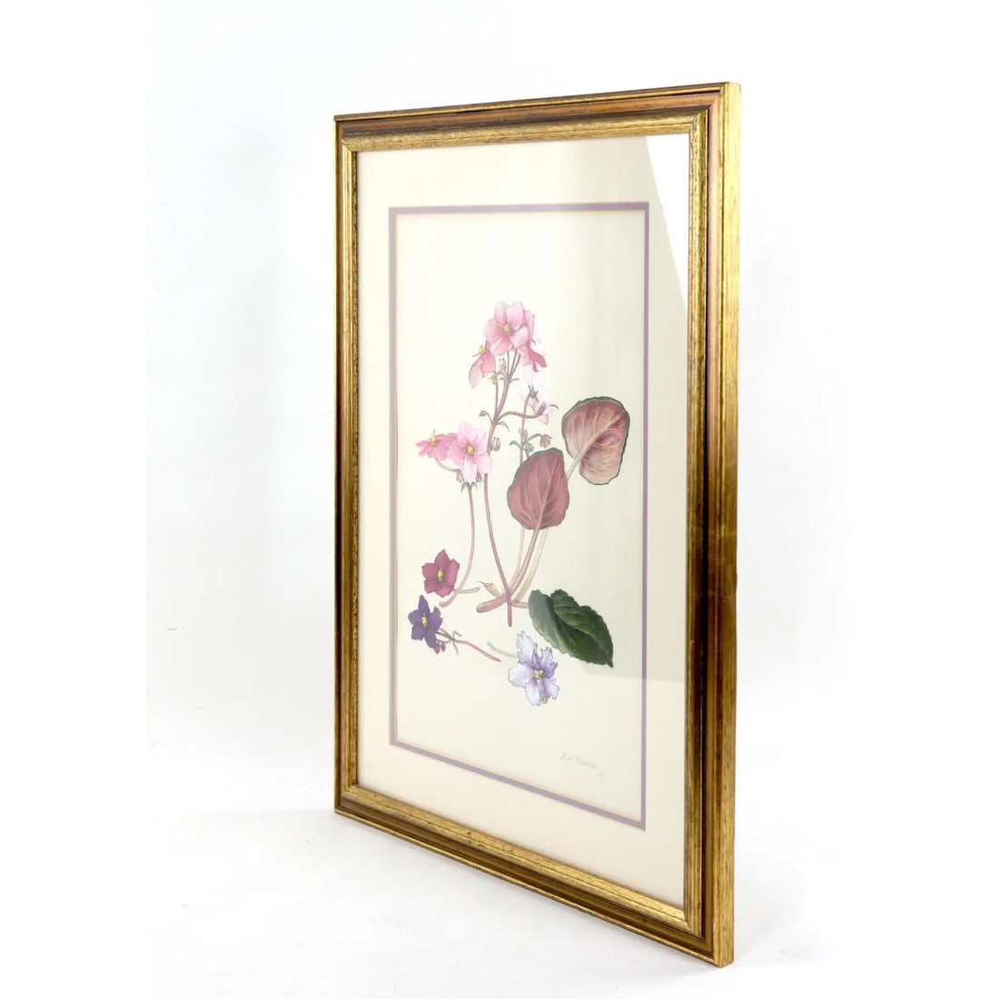 Hand-Painted Watercolor Specimen Flower Painting, Signed - 2