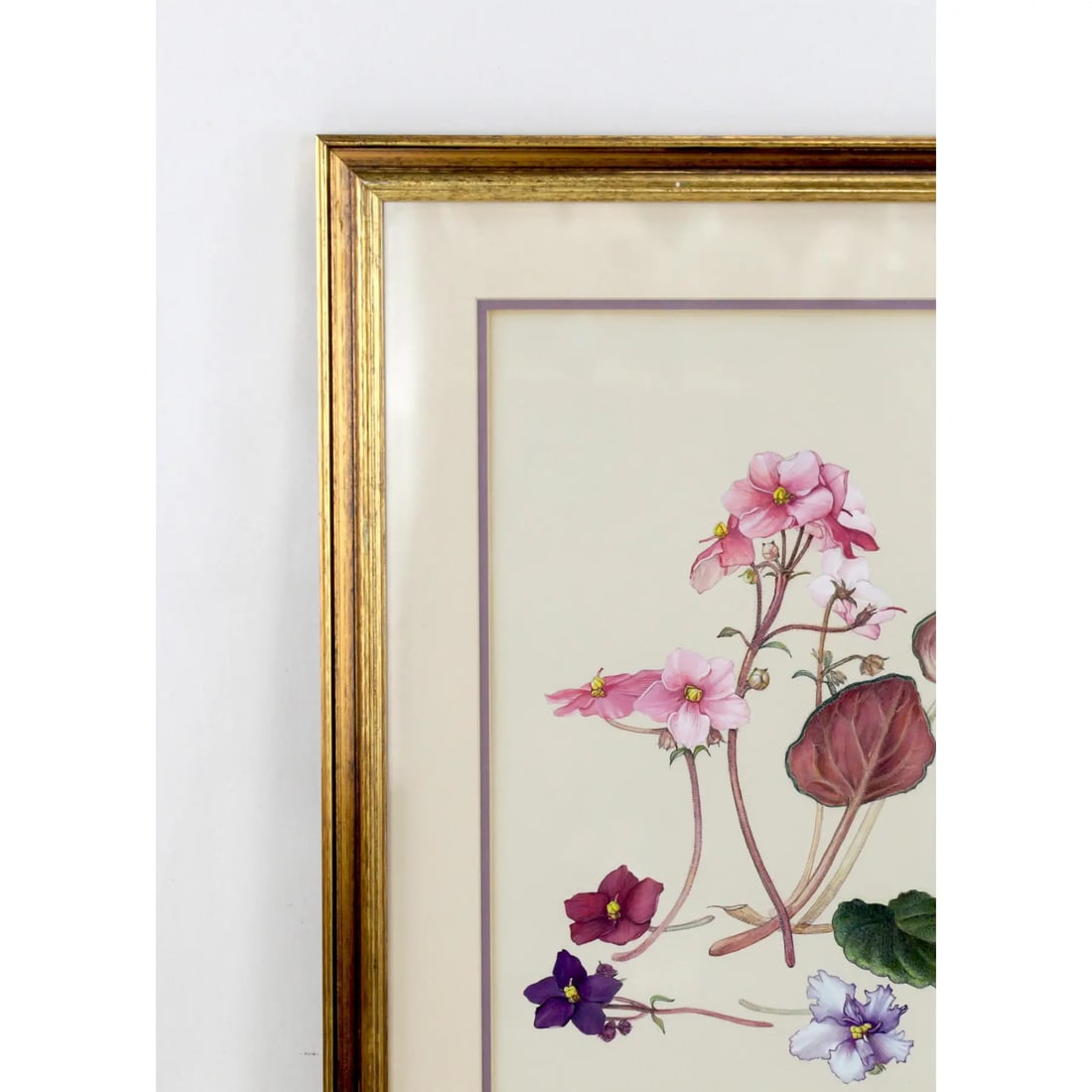 Hand-Painted Watercolor Specimen Flower Painting, Signed - 4