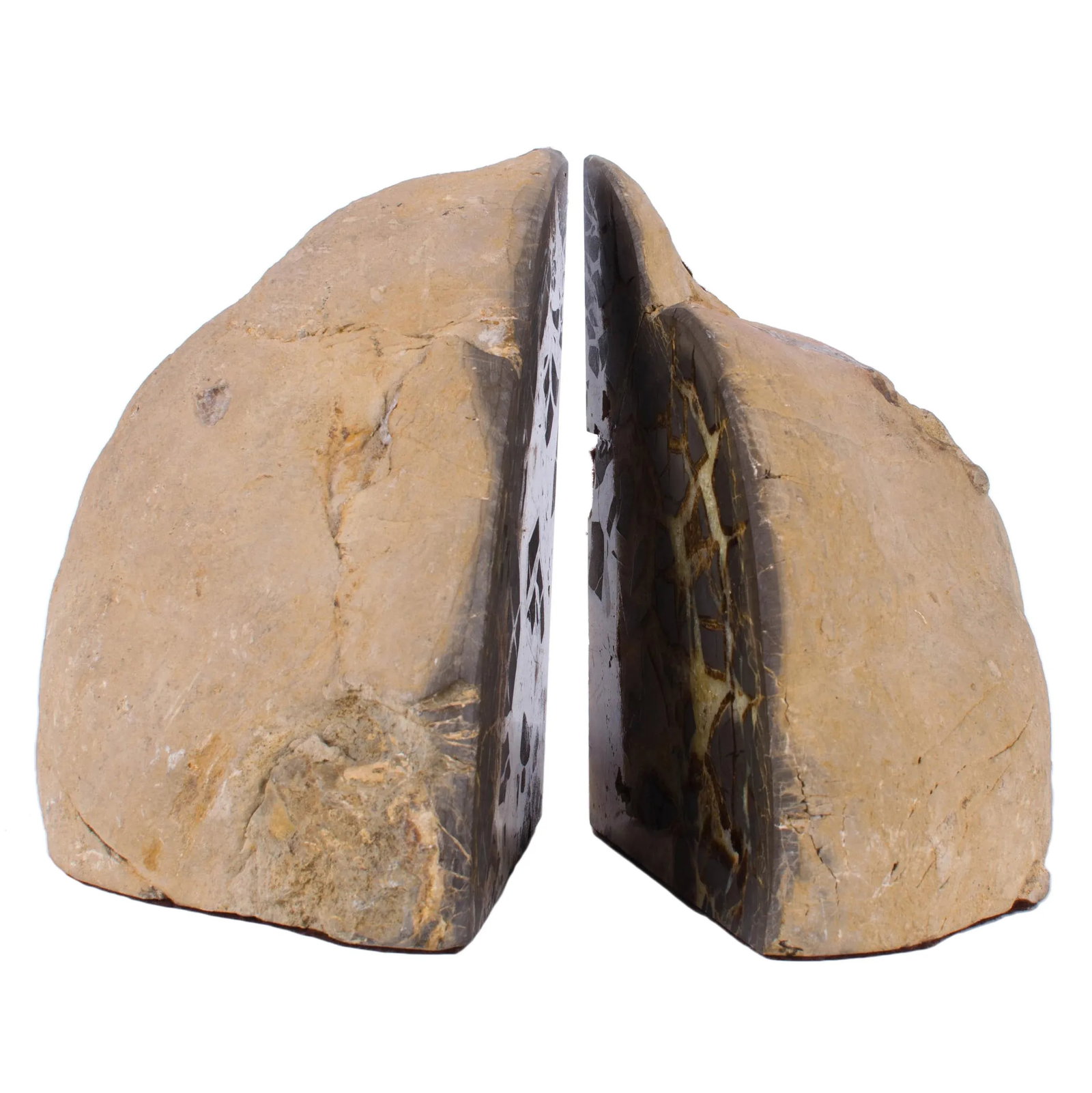 Septarian Dragon Egg Geode Bookends - A Pair - 2