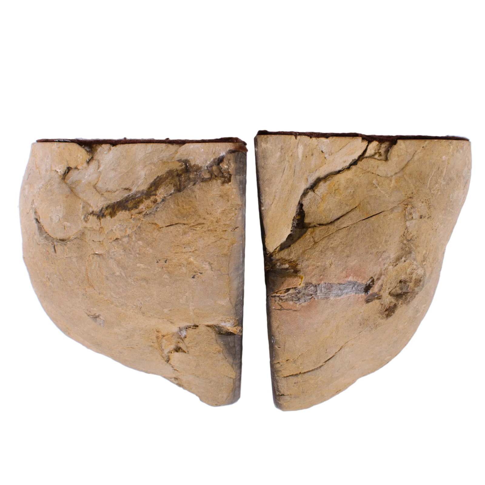 Septarian Dragon Egg Geode Bookends - A Pair - 5