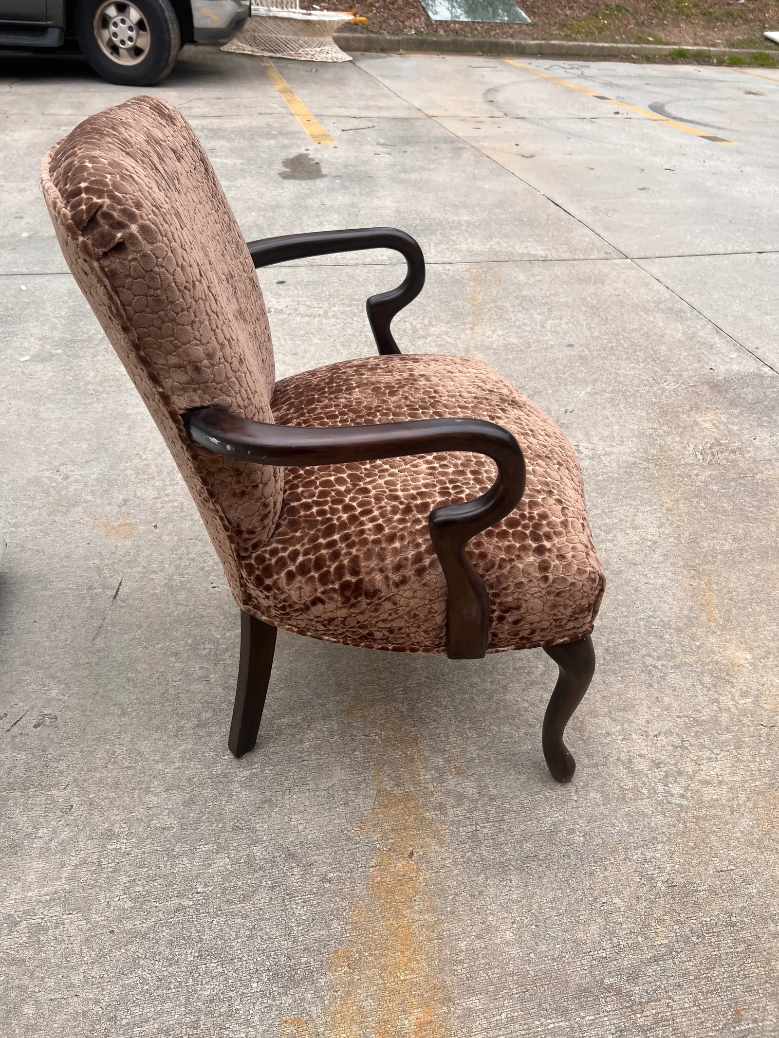 1940s Cheetah Textile Wooden Chair - 6