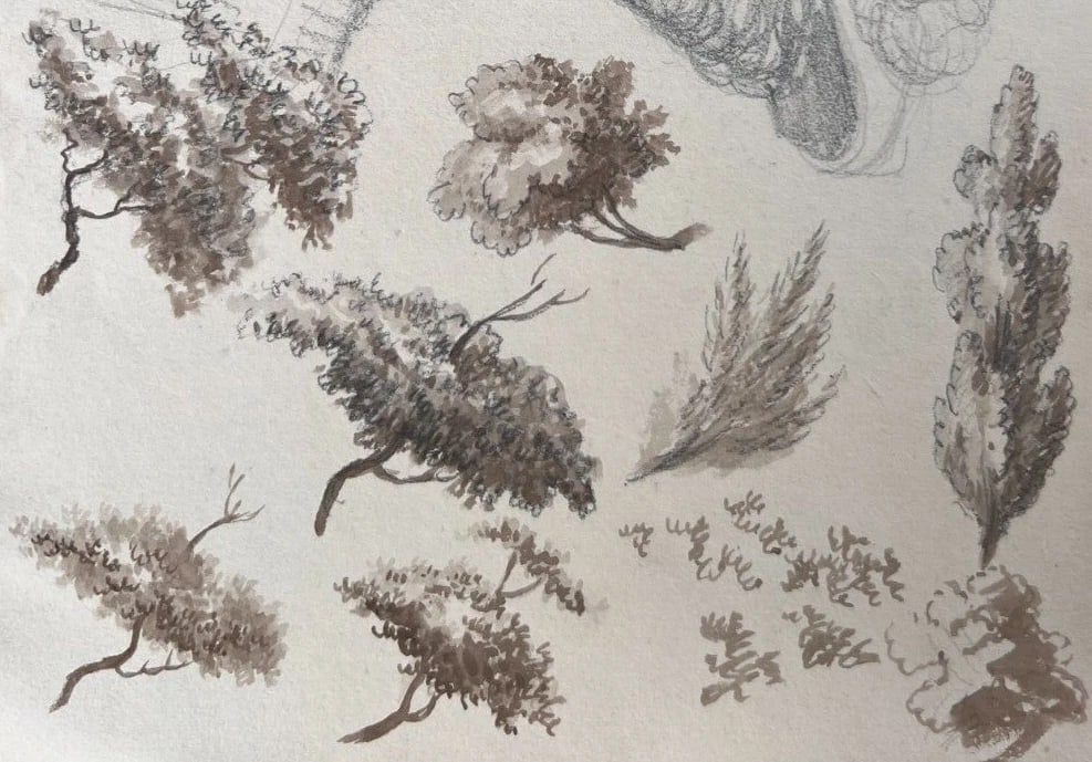 Woman Portrait with Hat, Trees 19th century -Drawing Antique Original - 4